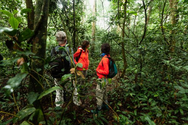 Aventuras na Amazônia: Ecoturismo na maior floresta tropical do mundo!