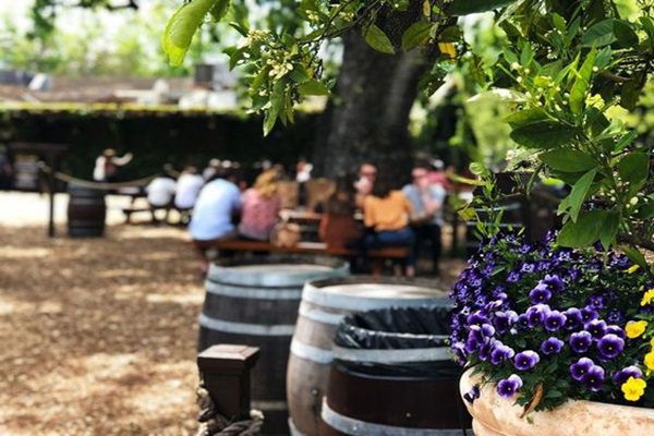Destinos imperdíveis para os amantes de vinhos!