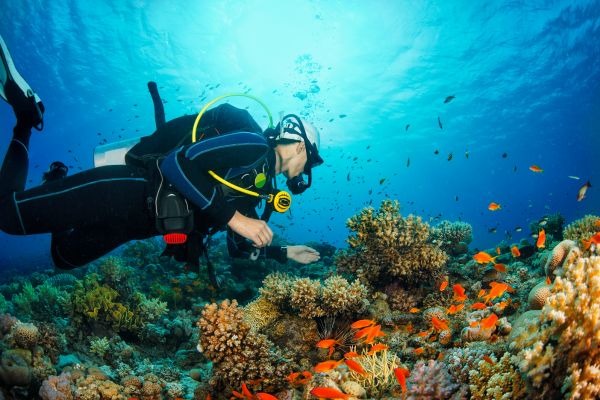 Destinos para prática de esportes aquáticos: Surf, mergulho, kitesurf! Destinos para prática de esportes aquáticos: Surf, mergulho, kitesurf!