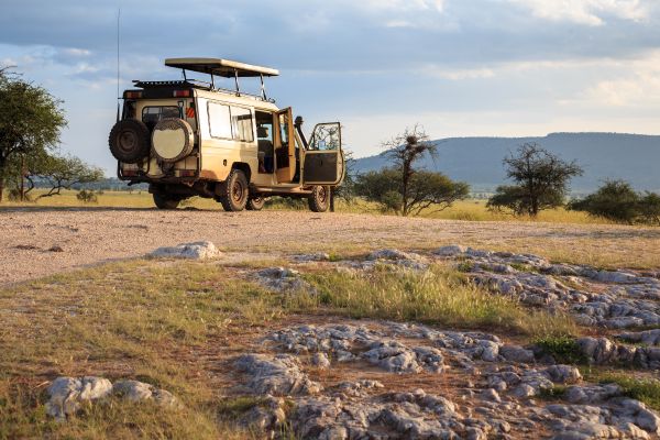 Segredos dos santuários de vida selvagem na África!
