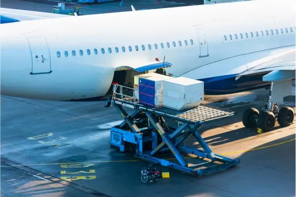 Desafios logísticos das companhias aéreas com cargas especiais! Desafios logísticos das companhias aéreas com cargas especiais!