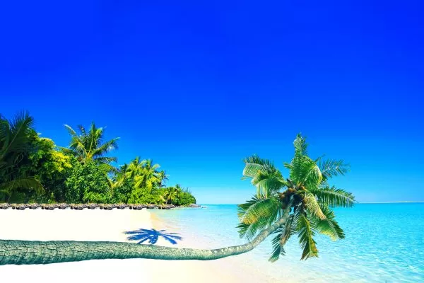 Descobrindo os encantos da Polinésia Francesa: Bora Bora, Moorea, Tahiti! Descobrindo os encantos da Polinésia Francesa: Bora Bora, Moorea, Tahiti!
